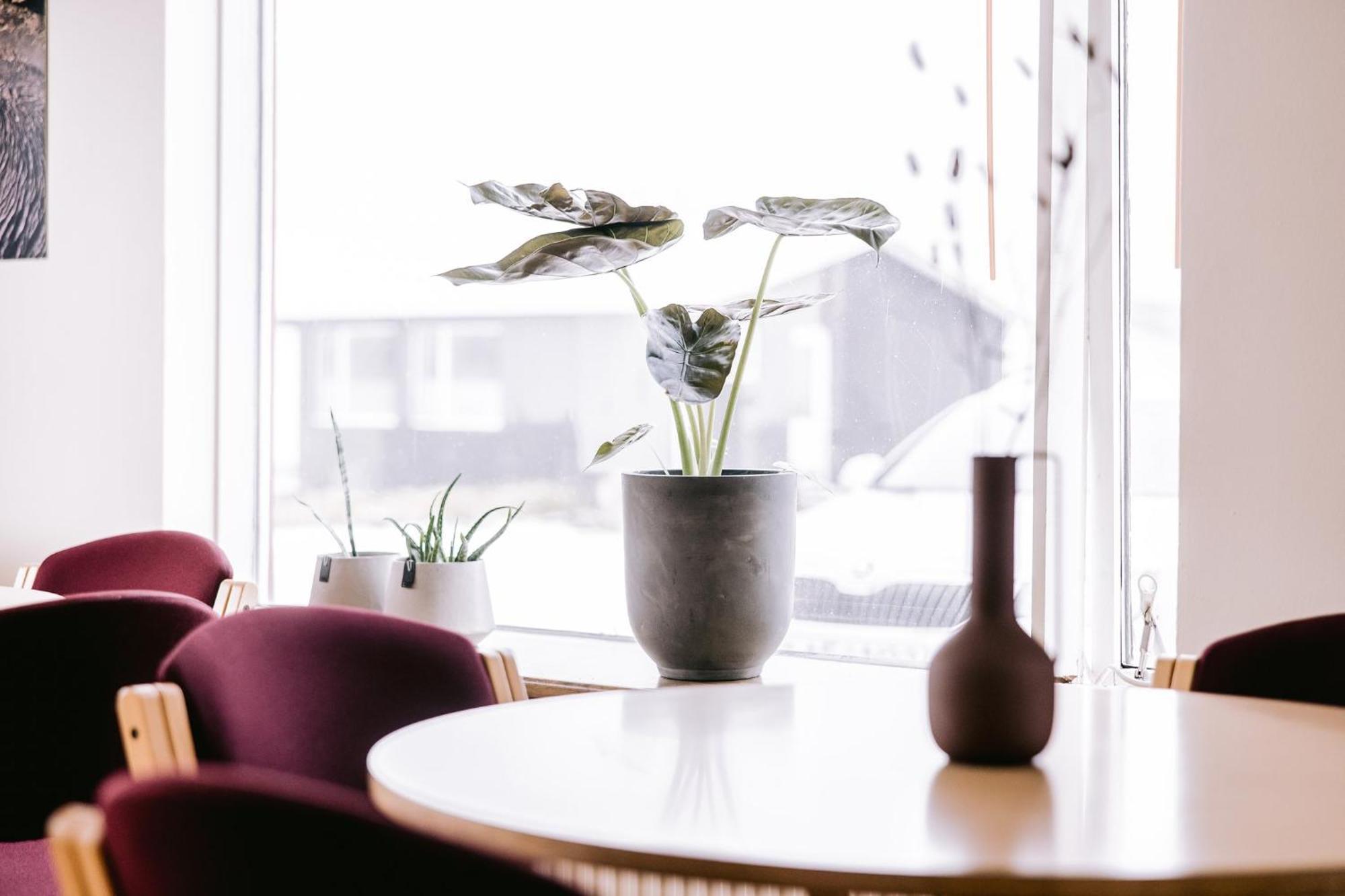 Elda Guesthouse Myvatn Luaran gambar